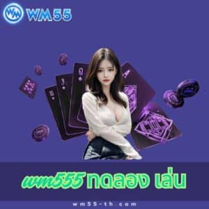 wm555 ทดลอง เล่น
